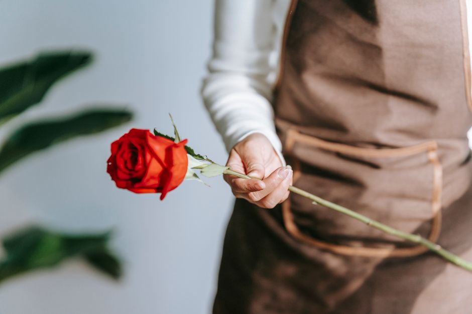 A professional florist wearing a light-colored long-sleeve shirt and a brown apron holds a single long-stemmed red rose with fresh, velvety petals and vibrant green leaves, demonstrating stem conditio